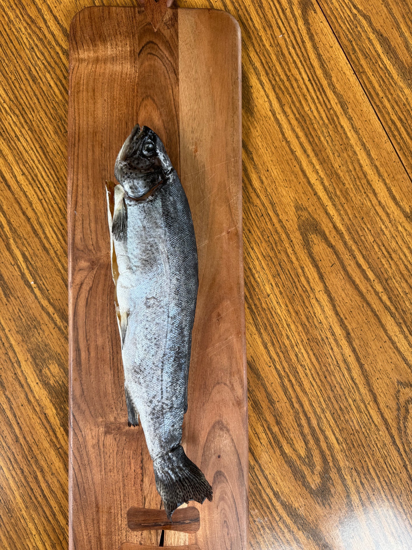 Air-Dried Rainbow Trout