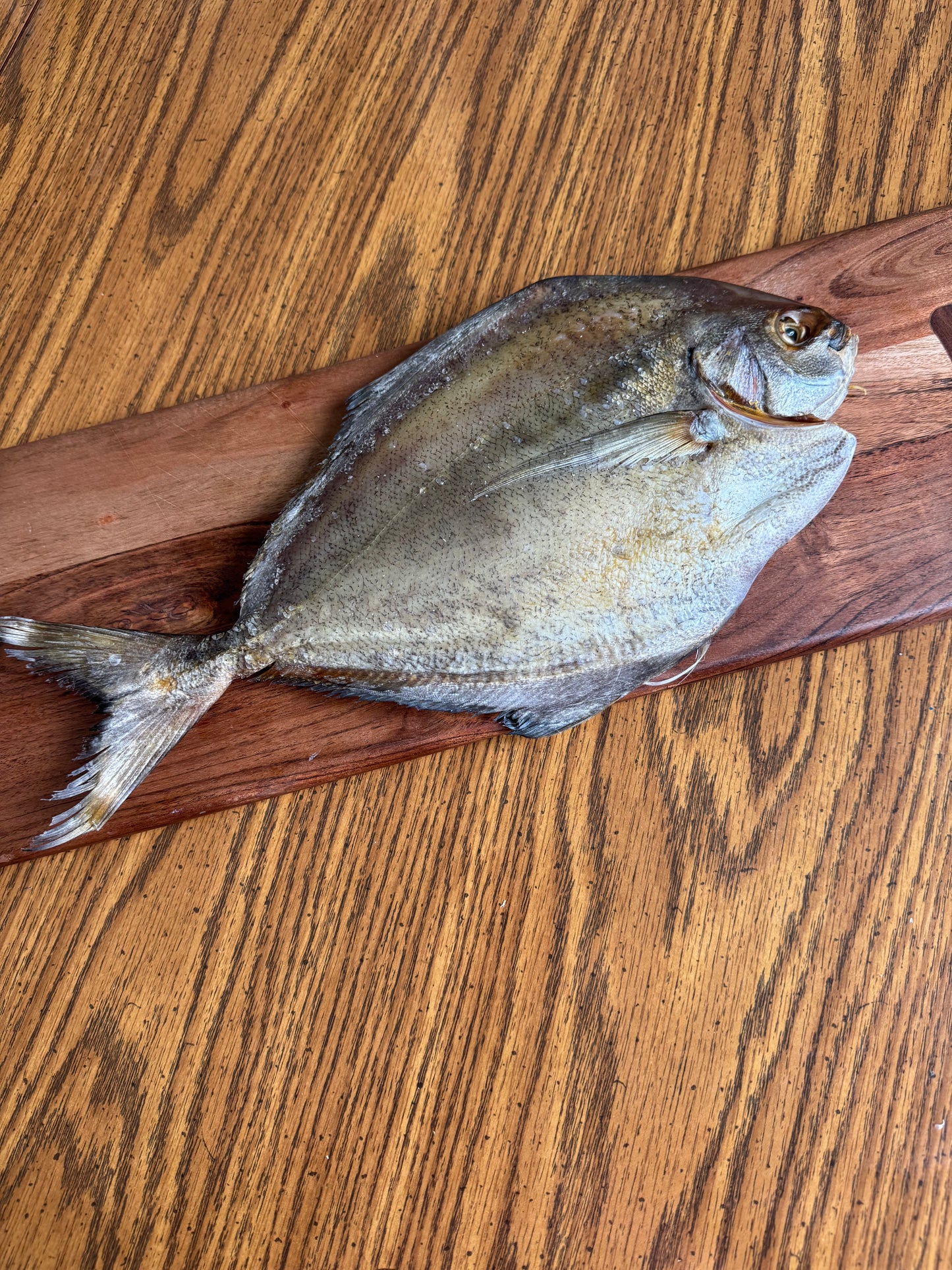 Air-Dried Black Pompano