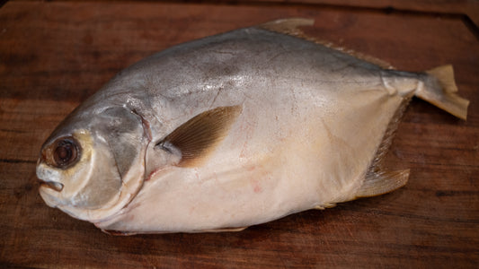Air-Dried Pompano