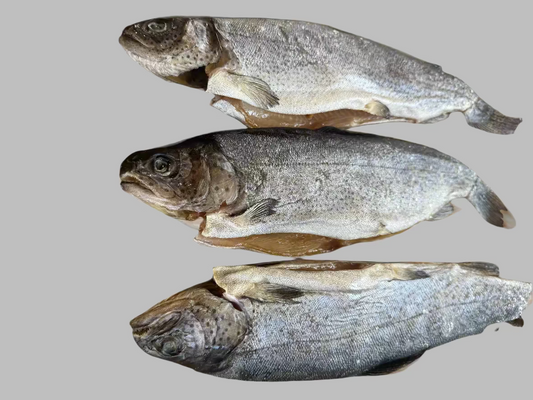 Air-Dried Rainbow Trout