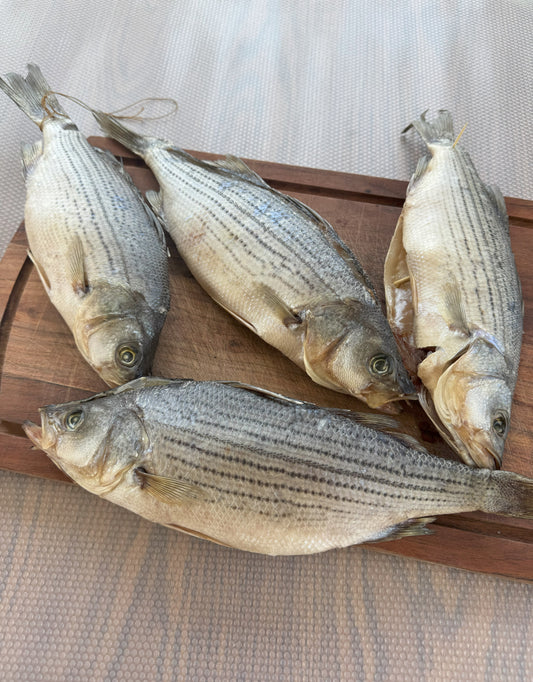 Air-Dried Striped Bass