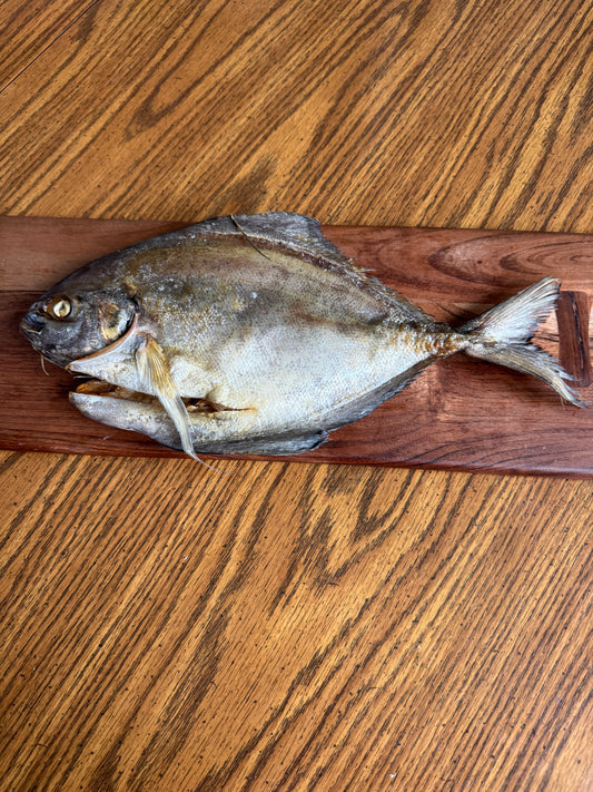 Air-Dried Black Pompano