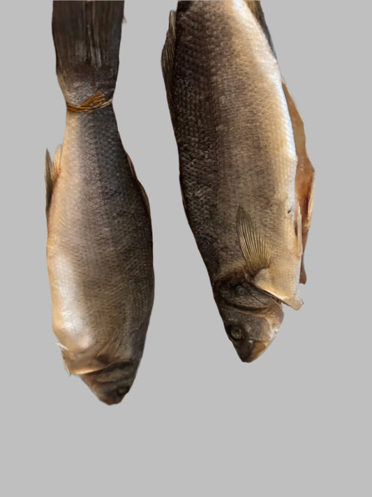 Air-Dried Bronzini (European Sea Bass)